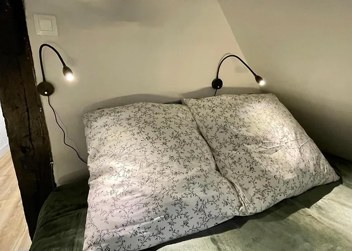 Le 1731, Coeur D'histoire, Superbe Duplex *