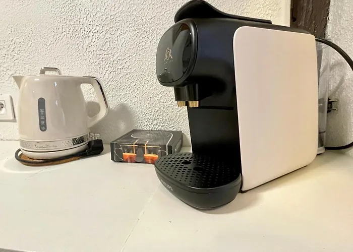 Appartement Le 1731, Coeur D'histoire, Superbe Duplex *